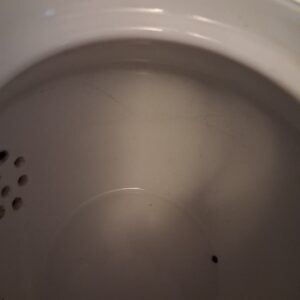 proletarii sinine teekann