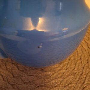 proletarii sinine teekann